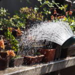 盆栽の水やりの役割、頻度、正しい方法を紹介